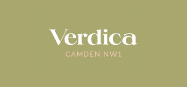 Show home launch at Verdica