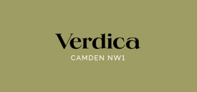 Introducing Verdica