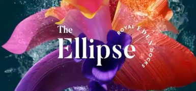 The Ellipse - just launched!