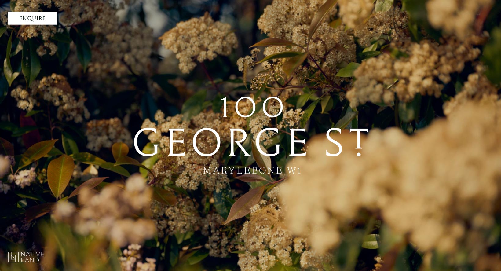 Register your interest on 100 George Street website