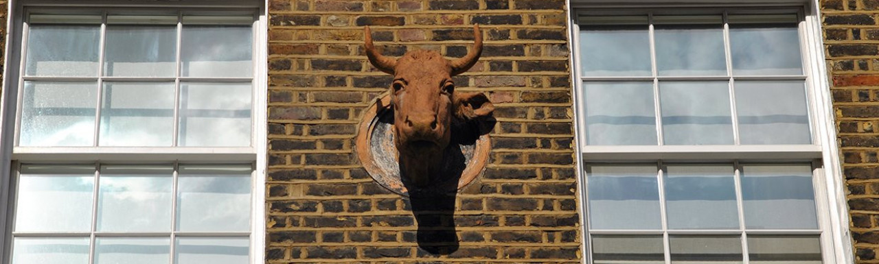 Bull's head at 46 Old Church Street in Chelsea, London SW3.