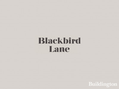 Blackbird Lane