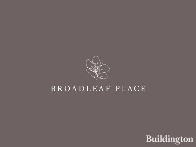 Broadleaf Place