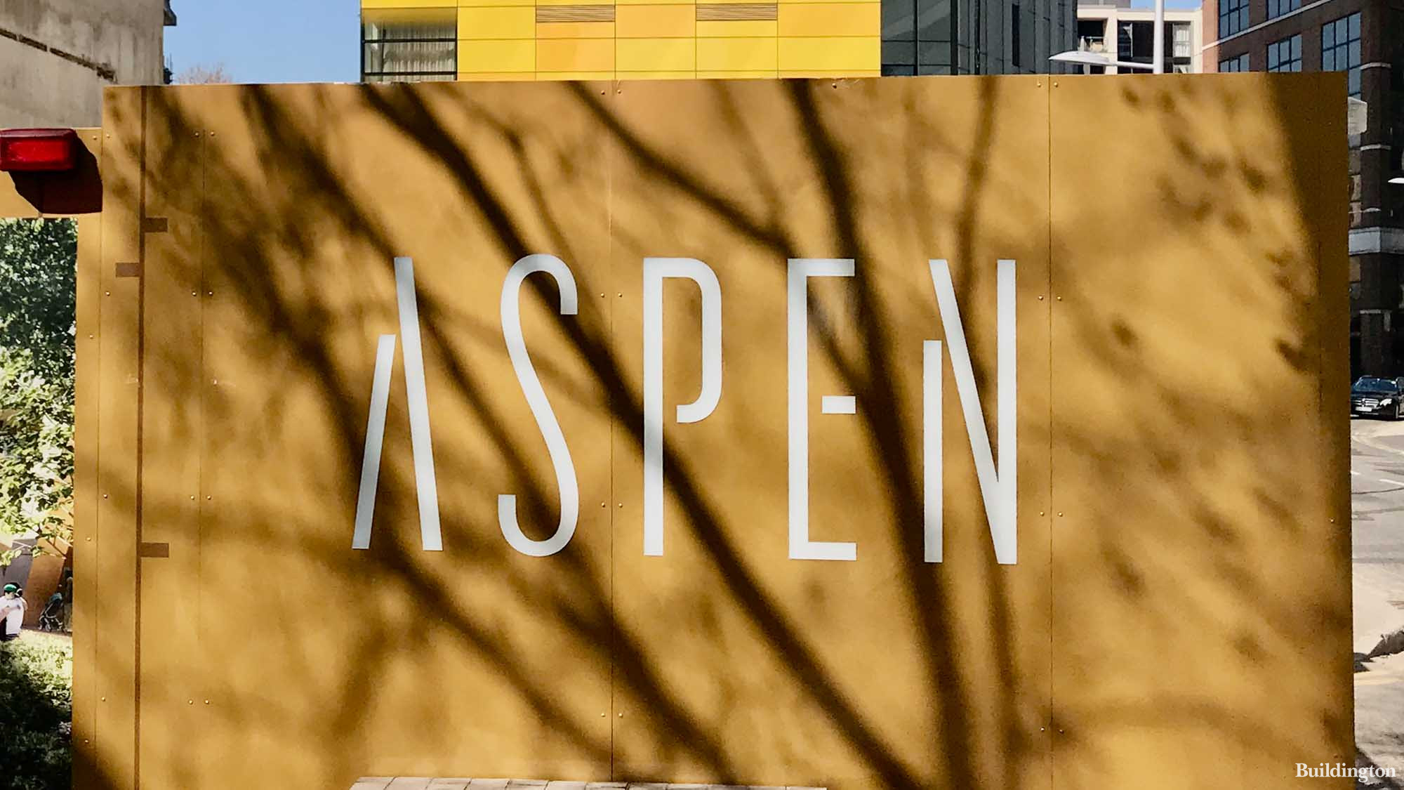 Aspen hoarding in spring 2021
