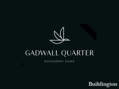 Gadwall Quarter