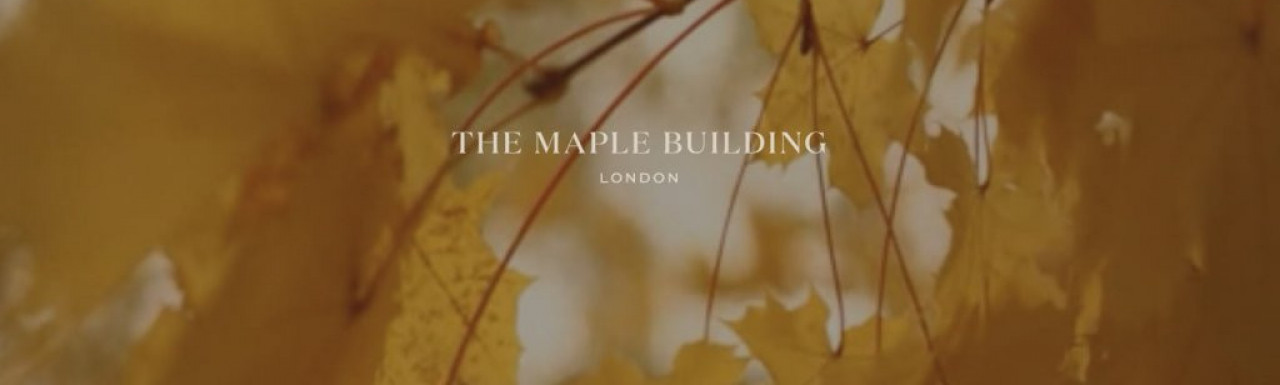 Screen capture of The Maple Building development at www.themaplebuilding.com